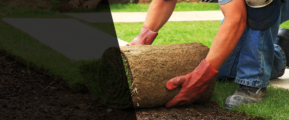 Bald Knob Landscapers